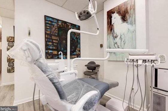 Treatment room with white horse painting